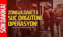 Zonguldak'ta suç örğütüne operasyon