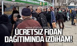 Zonguldak’ta fidan için Valilik önünde izdiham