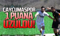 Çaycumaspor 1 puana üzüldü!