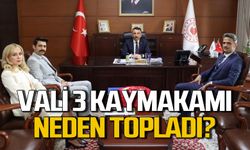 Vali 3 kaymakamı neden makamına çağırdı: Ne görüştüler?