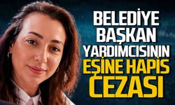 Belediye başkan yardımcısının eşine hapis cezası!