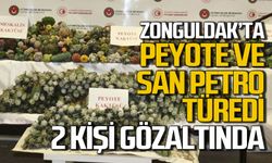 Zonguldak'ta Peyote ve San Pedro Kaktüsü türedi: 2 kişi gözaltına alındı