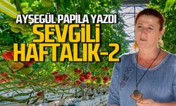 Papila: Sevgili haftalık-2