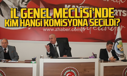 Zonguldak İl Genel Meclisi'nde kim hangi komisyona seçildi?