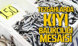 Zonguldak'ta tezgahlarda kıyı balıkçılığı mesaisi.