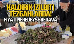 Kaldirik (Zılbıt) tezgahlarda, fiyatı neredeyse bedava