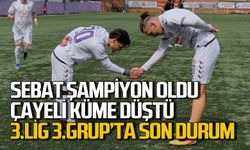 Sebat şampiyon oldu, Çayelispor küme düştü: Ligde son durum
