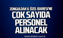 Zonguldak İl Özel İdaresi'ne çok sayıda personel alınacak.