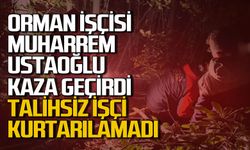 Orman işçisi Muharrem Ustaoğlu kaza sonucu hayatını kaybetti