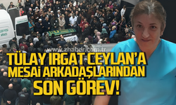 Tülay Irgat Ceylan'a mesai arkadaşlarından son görev