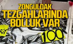 Zonguldak balık tezgahlarında bolluk var