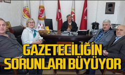 Gazeteciliğin sorunları katlanarak büyüyor