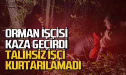 Orman işçisi kaza sonucu hayatını kaybetti