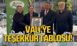 Vali Hacıbektaşoğlu’na teşekkür tablosu