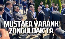 Mustafa Varank Zonguldak'ta