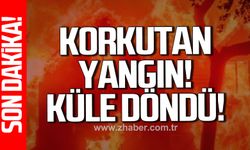 Zonguldak Gaca'da yangın paniği