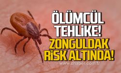 Ölümcül tehlike. Zonguldak risk altında