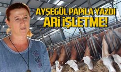 Ari işletme