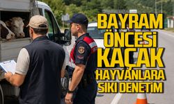 Kurban Bayramı öncesi kaçak hayvanlara sıkı denetim