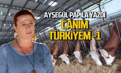 Canım Türkiyem