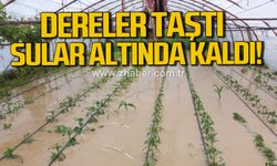 Nebioğlu’nda dereler taştı, Evler ve tarım arazileri sular altında kaldı