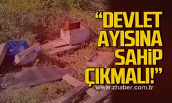 Kovanlarına ayının saldırdığını gören arıcı, "Devlet ayısına sahip çıkmalı"