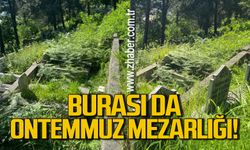 Burası da Ontemmuz Mezarlığı: Ormanlık mı mezarlık mı?