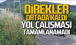 Direkler ortada kaldı Yol çalışması tamamlanamadı