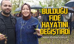 Devrek'te doğa yürüyüşünde bulduğu salep orkidesi hayatını değiştirdi