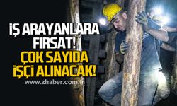 Zafer Maden çok sayıda işçi alacak