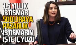 Aysu Bankoğlu istismarın iç yüzünü açıkladı: 500 liraya pazarlık!