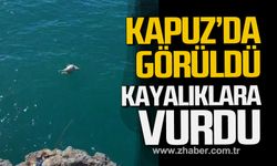 Zonguldak'ta kurbanlık koyun sahibinden kaçtı. Denizde telef oldu.