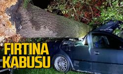 Fırtına korku yaşattı: Ağaçlar araçların üzerine devrildi