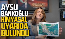 Aysu Bankoğlu’ndan kimyasal uyarı