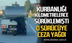 Bolu'da kurbanlığı kilometrelerce sürüklemişti. O sürücüye ceza yağdı.