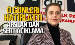 Merve Arslan'dan karara karşı sert açıklama
