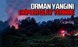 Orman yangını panik yaşattı: Ekipler seferber oldu