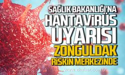 Deniz Yavuzyılmaz'dan Sağlık Bakanlığı'na Hantavirüs uyarısı. "Zonguldak riskin merkezinde"