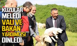 Kuzular meledi Vali ve Bakan yardımcısı dinledi!