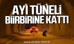Karabük'te ayı tüneli birbirine kattı.