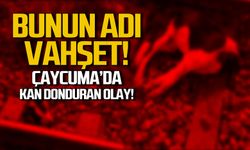 Bunun adı vahşet! Çaycuma'da kan donduran olay!
