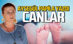 Canlar