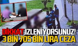 Zonguldak’ta çevreyi kirletenlere 3 bin 705 lira para cezası