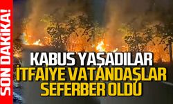 Yangın büyük panik yaşattı: Ekipler ve vatandaşlar seferber oldu