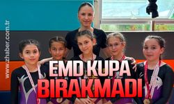 EMD’den İl Şampiyonasında büyük başarı