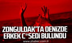Zonguldak'ta denizde erkek c*sedi bulundu.