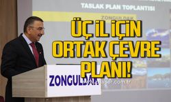 Bartın, Karabük ve Zonguldak için stratejik çevre planı