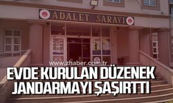 Alaplı’da evde kenevir yetiştirme operasyonu