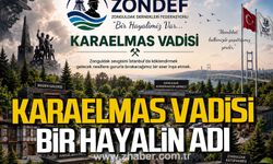Ziya Öncan duyurdu. "Karaelmas Vadisi. Bir hayalin adı."