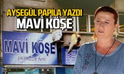 Mavi Köşe